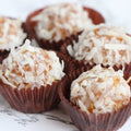 Coconut Truffles